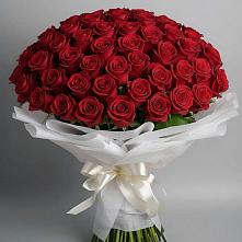 Букет 101 Красная роза Блэк Мэджик #REPLACE_PRED# Канеловской