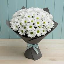 Букет цветов из:  Хризантемы #REPLACE_PRED# Канеловской