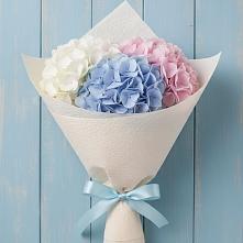 Букет цветов из:  Гортензия в Канеловской