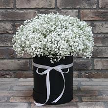 Цветочная композиция из Гипсофила в шляпной коробке в Канеловской