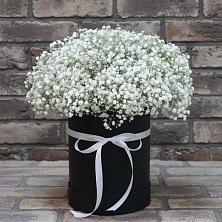 Цветочная композиция из Гипсофила в шляпной коробке в Канеловской